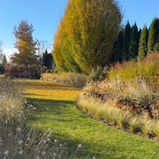 Post by garden_by_marta