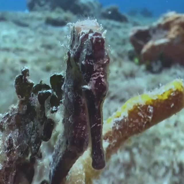 Post by brett_hoelzer