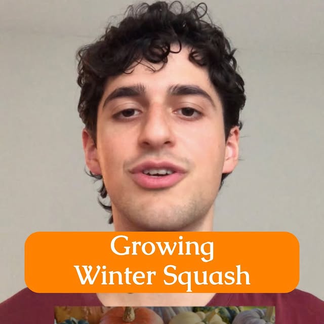 Post by myhealthforward