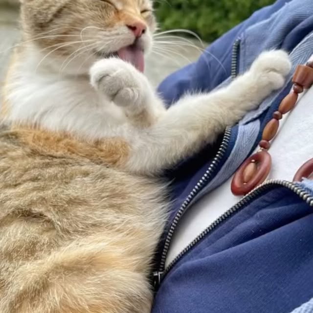 Post by anna_polyshnia