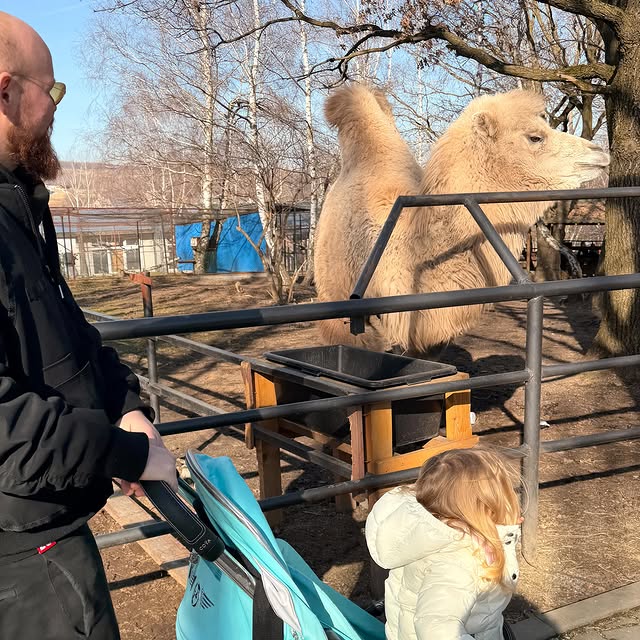 Post by thefrancisc_