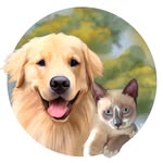 goldenretriever_lotus