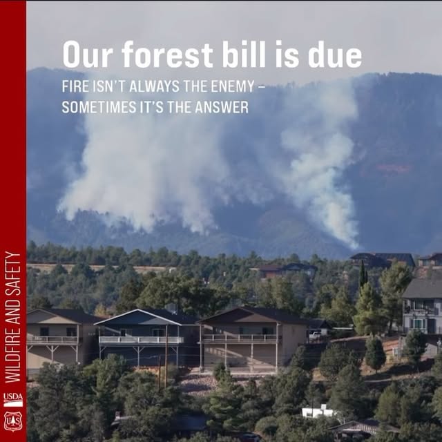 Post by tontonationalforest