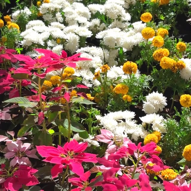 Post by ahmedabad_buzz