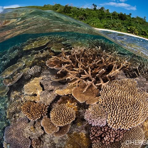 Post by backscattervideophoto