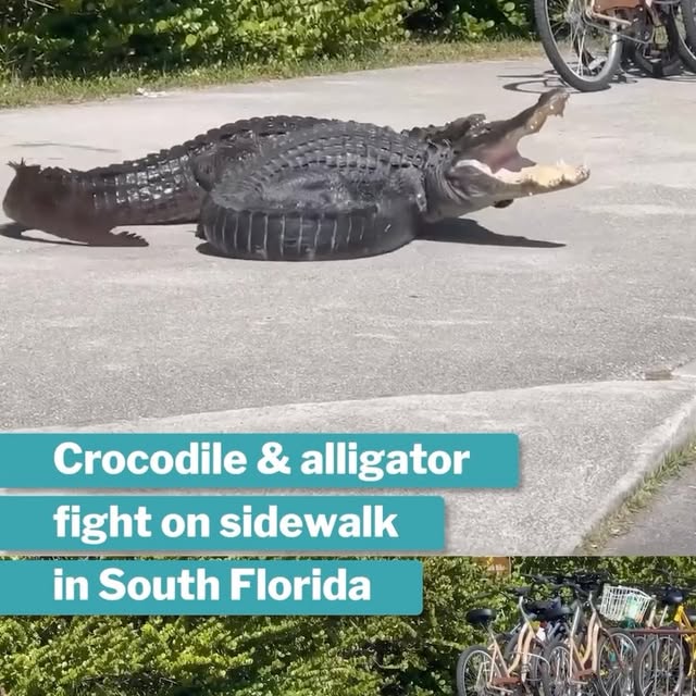 Post by mothershiponearth