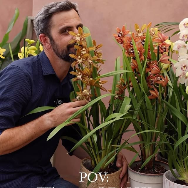 Post by crocus.co.uk