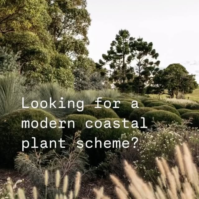 Post by guidetobettergardens