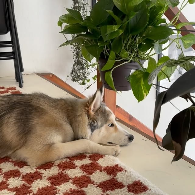 Post by itskrisandtay