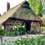 Dörthe Krause's profile picture