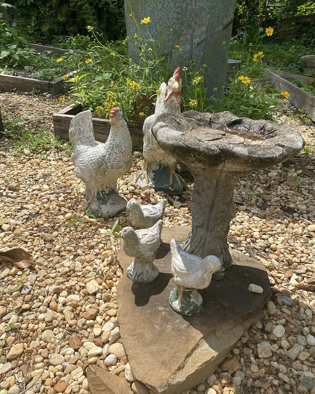 Post by bluewillowhomeandfarm