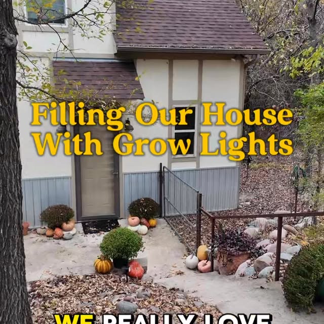 Post by tannertheplanter