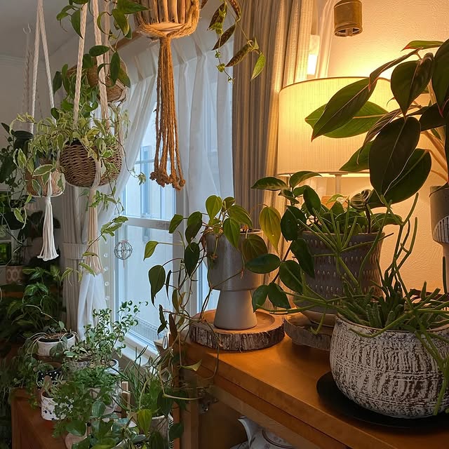 Post by time_with_liberty