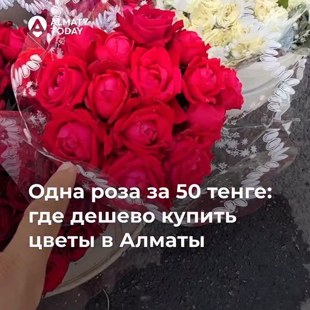 Post by almaty.today