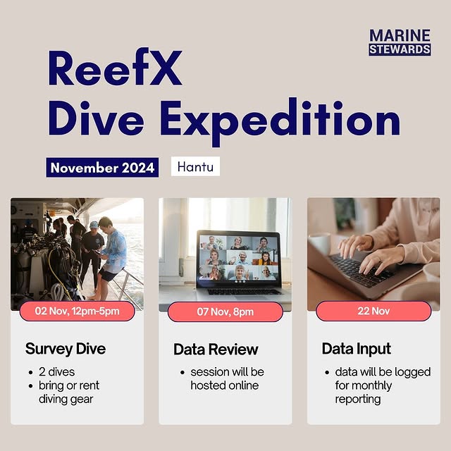 Post by marinestewards