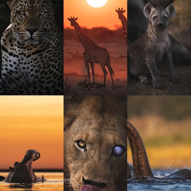 Post by huntingforparadise