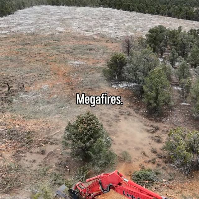 Post by nevada_fuels