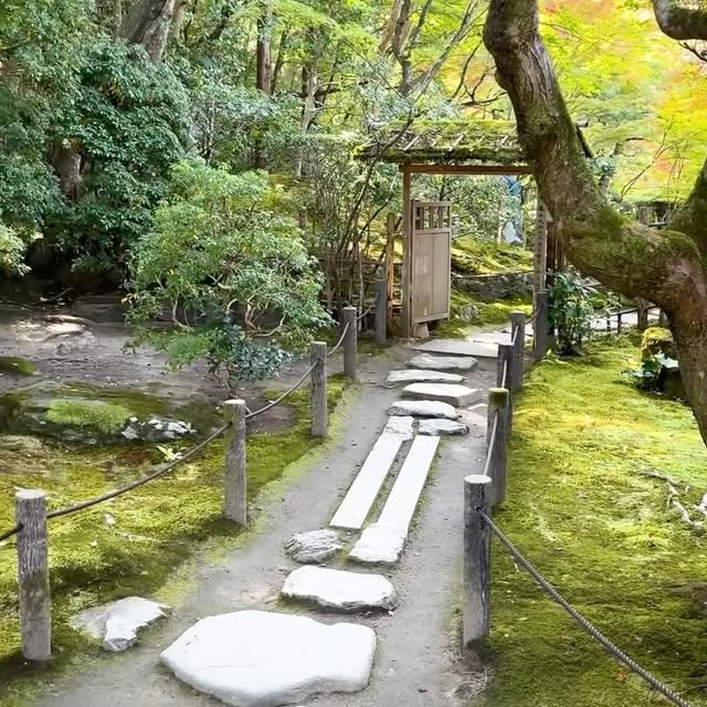 Post by themoosegarden