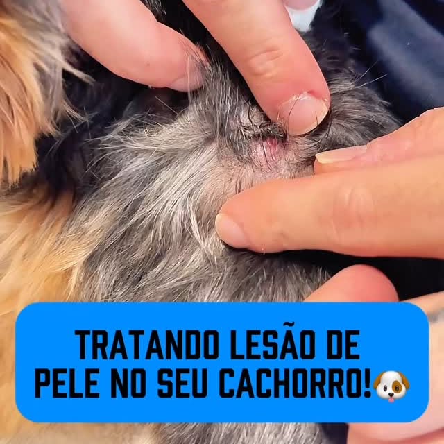 Post by dr.rennanviegas