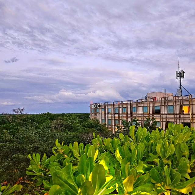 Post by vincentong2402