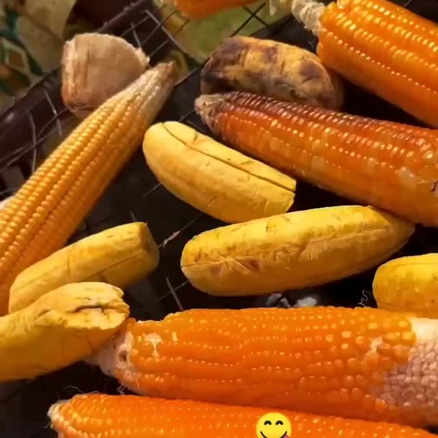 Post by africanvibes