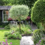 Have02's profile picture