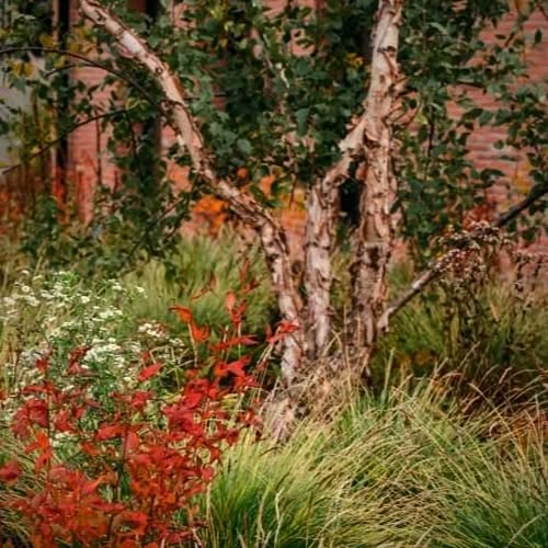 Post by rasalaurinaviciene