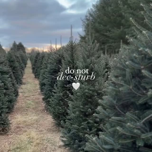 Post by interiorniche