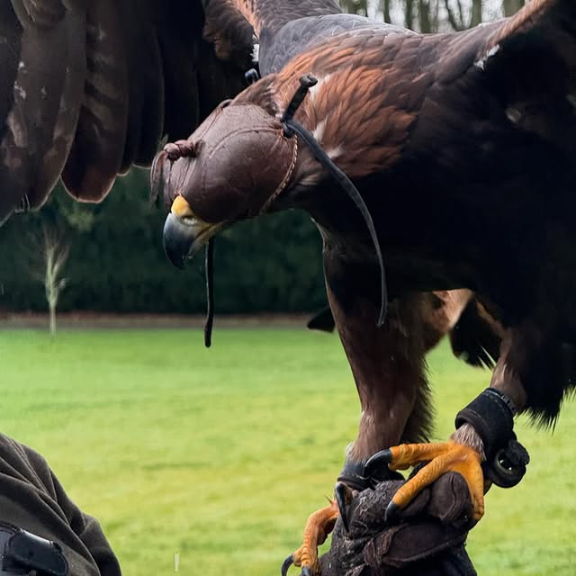 Post by indagarefounder