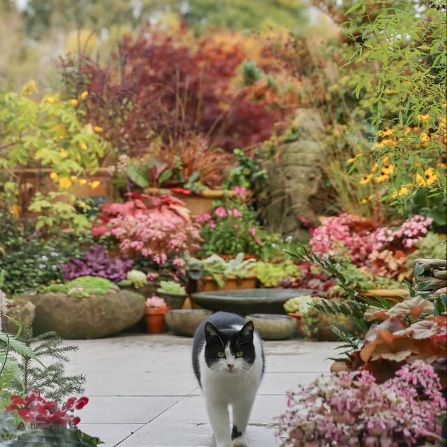 Post by katrins_garten