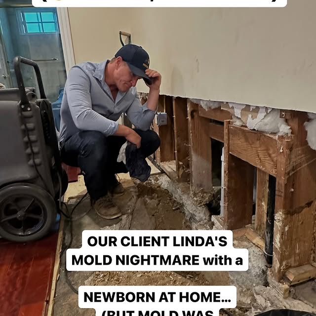 Post by twinhomeexperts