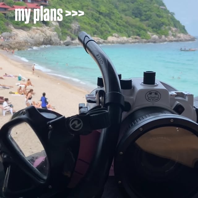 Post by red.biodiving