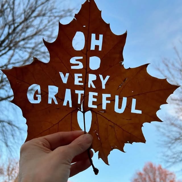 Post by cityfarmhouse