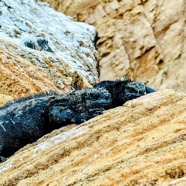 Post by kath.sea.fish