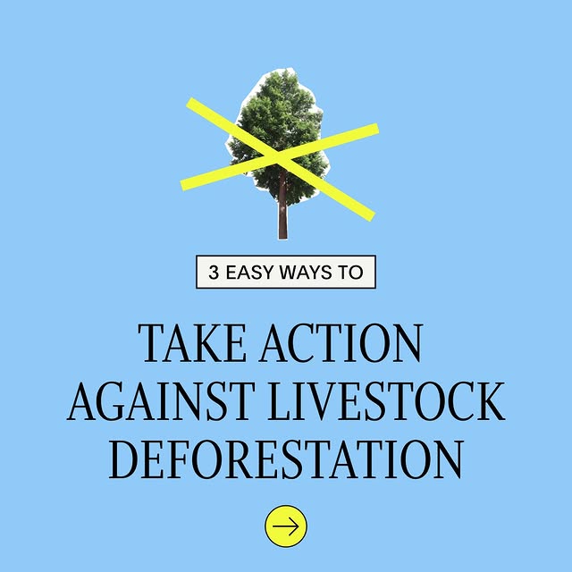 Post by australianethical