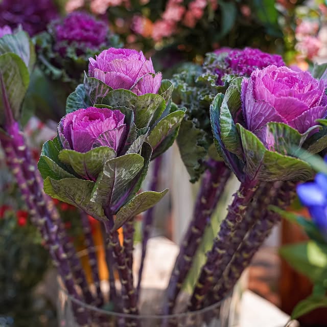 Post by markthalle.zuerich