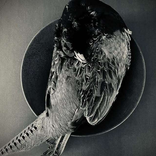 Post by presente_sugi