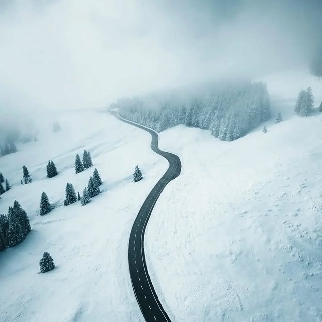 Post by designplusmag