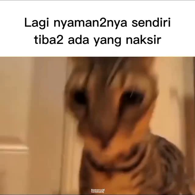 Post by humemesidcom