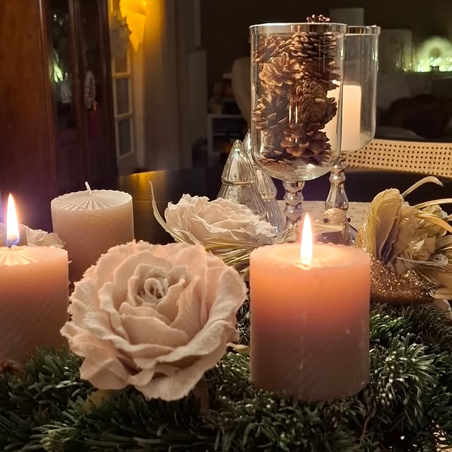 Post by notreroseraie