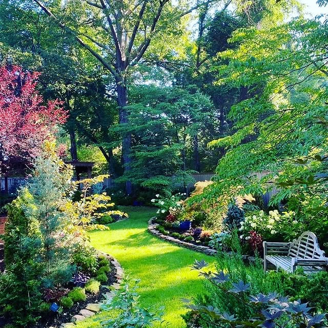 Post by thegardeningspirit