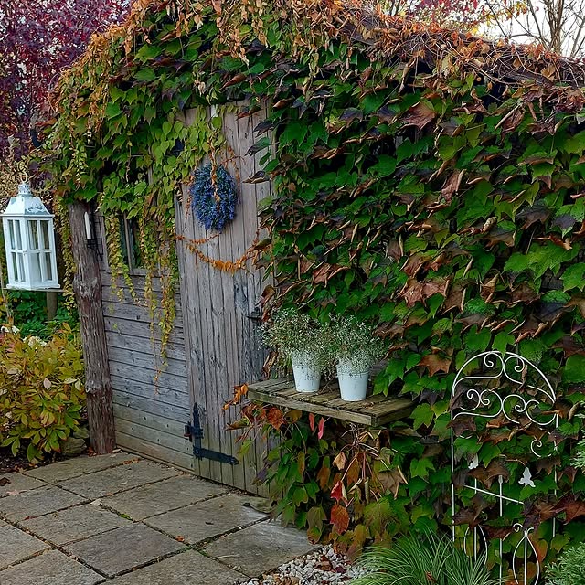 Post by imperfect_garden_pl