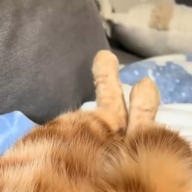 Post by kitty_mittymeow