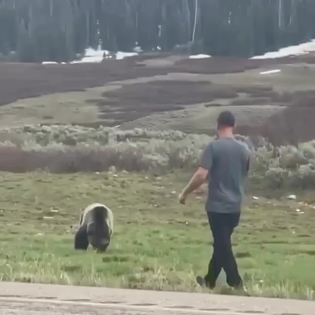 Post by touronsofyellowstone