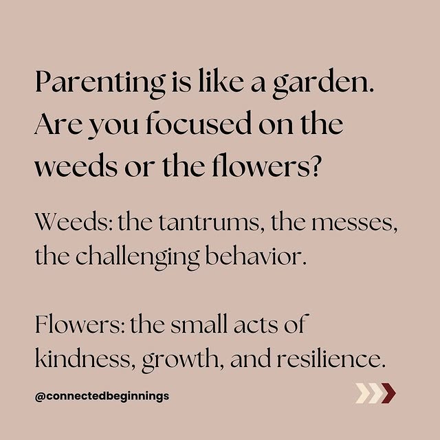 Post by connectedbeginnings