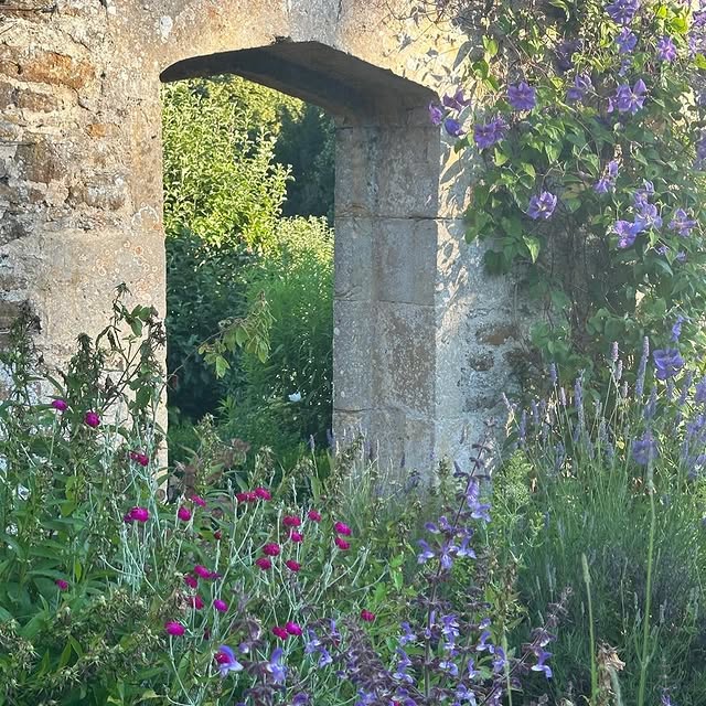 Post by roushamgardens