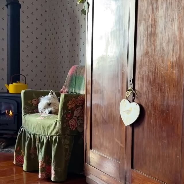 Post by thingsandthoughtsgr