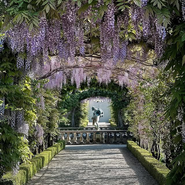 Post by edenrowegardens