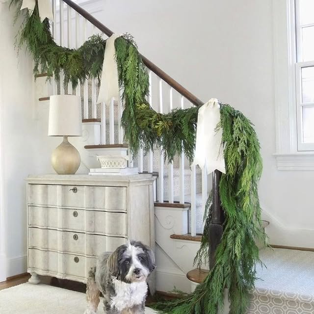 Post by onekingslane