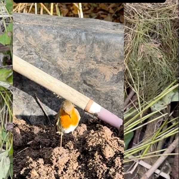 Post by suekentathome